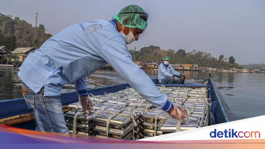 Menembus Laut demi MBG: 2.356 Paket Bergizi Setiap Hari untuk Anak Kepulauan Halmahera Selatan